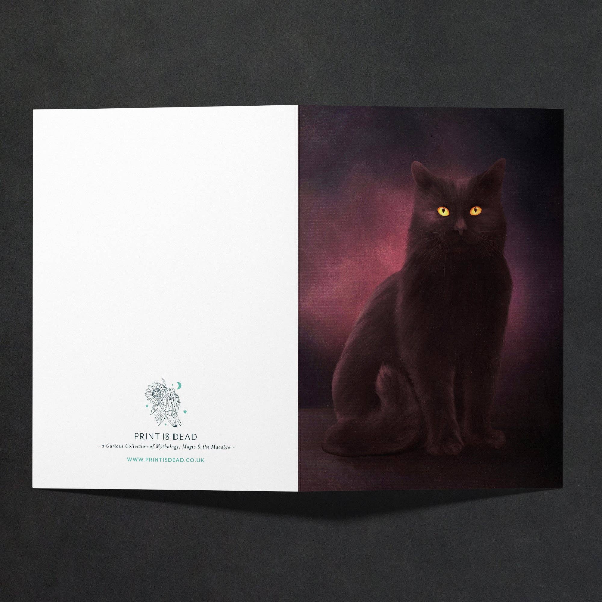 Print is Dead – wholesale Everyday greeting card – Shadow Cat - Greeting Card5