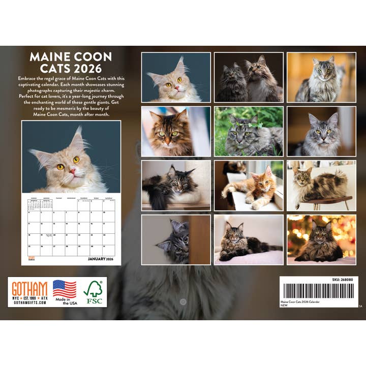 Multi Color Maine Coon Cat Calendar 2026 Monthly Wall Calender 12 Month | American Made In The USA for wholesale on Faire