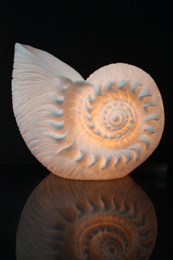 The Light Garden Collection - Wholesale Accent/Desk Lamp - NAUTILUS LAMP 13"W X 11.5"H X 6"D