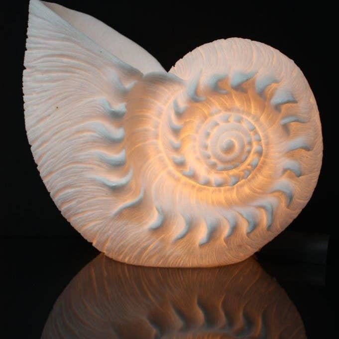 The Light Garden Collection - Wholesale Accent/Desk Lamp - NAUTILUS LAMP 13"W X 11.5"H X 6"D