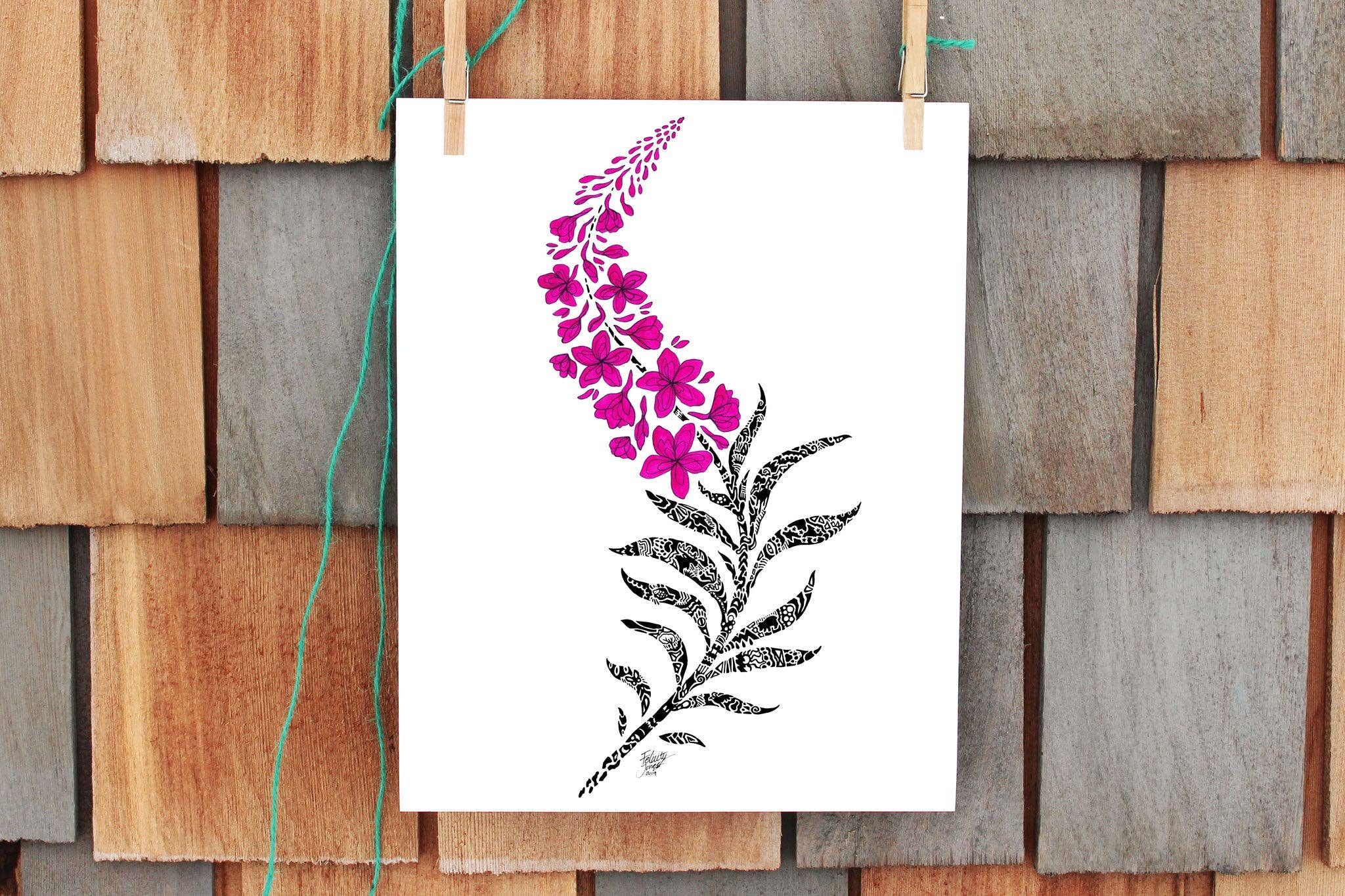 FJ Creations - Wholesale Art Print - Doodle Fireweed - Fine Art Print7