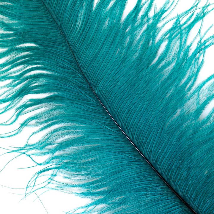 Large Ostrich Feathers - 17"+ Drabs - Teal for wholesale by Zucker Feather Products