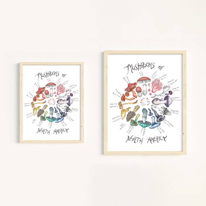 Claire Loon Baldwin Illustration - Wholesale Art Print - Mushrooms of North America Art Print2