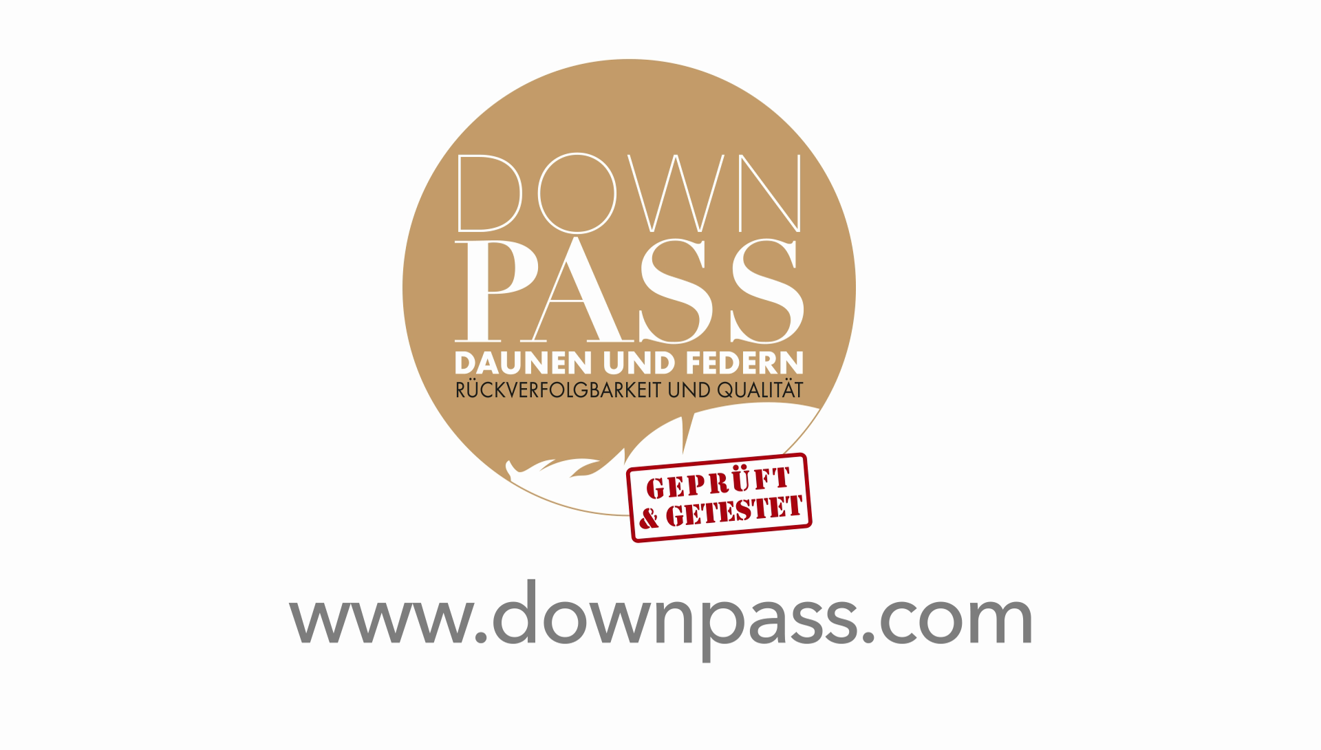 Casilin - Wholesale Bedding Pillow - Dons Pillow - Soft Support1