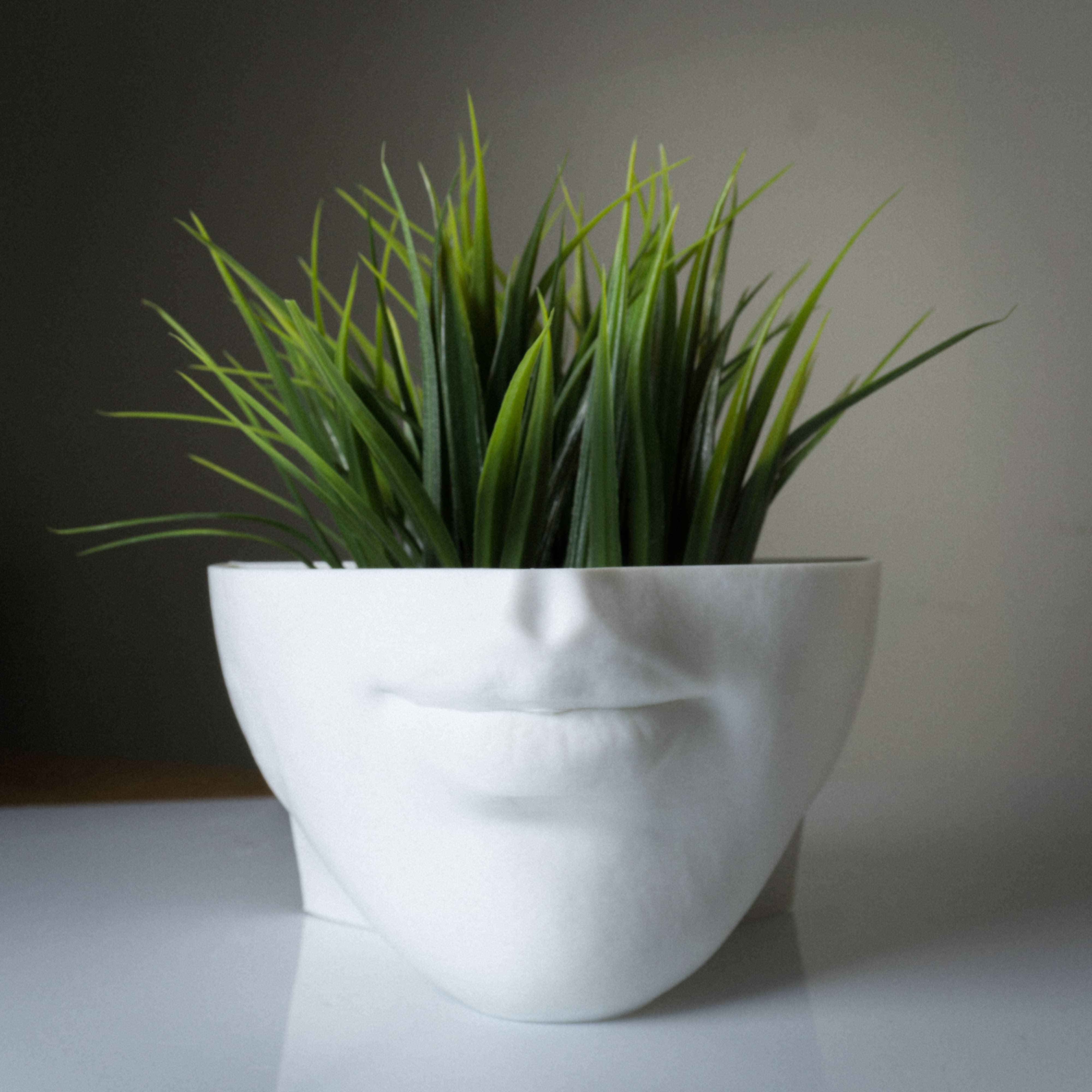alterly – wholesale Kruka – Läppar Planter, Kvinna ansikte Växt Kruka - 3D Tryckt PLA, vit6