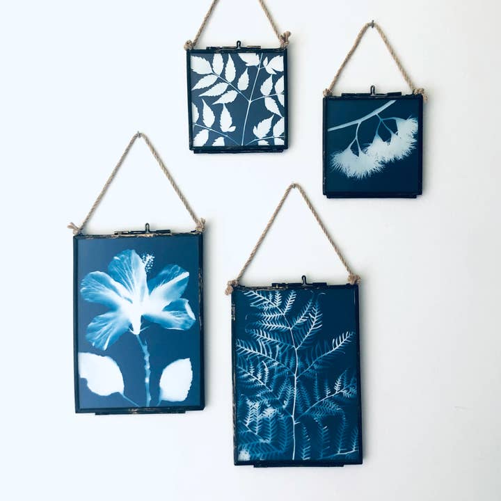 My Little Print Studio - Wholesale Art print - Mini Framed Original Cyanotype Collection1