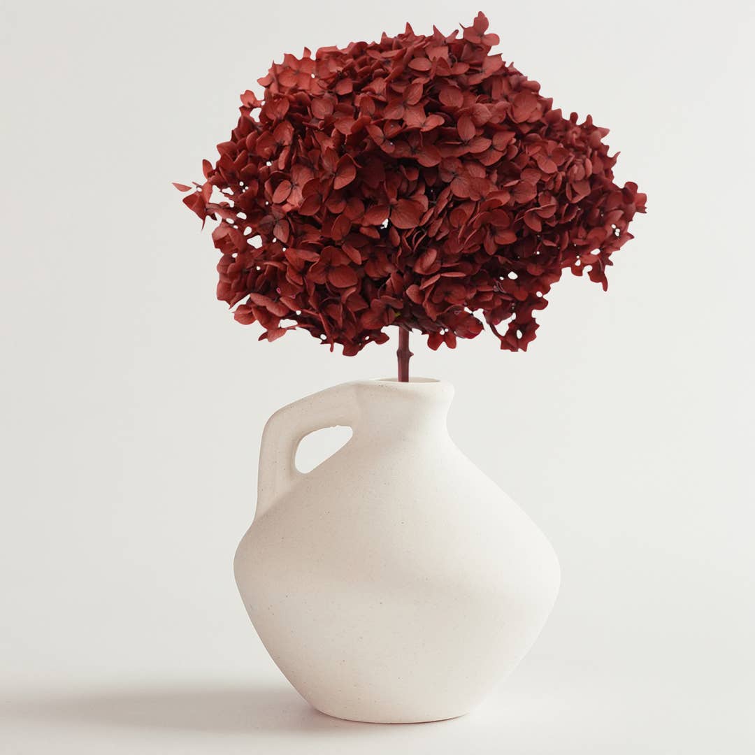 2626 Designs - Wholesale Dried/Pressed Flowers - Dried Preserved Hydrangea Flower 16" with Stem2