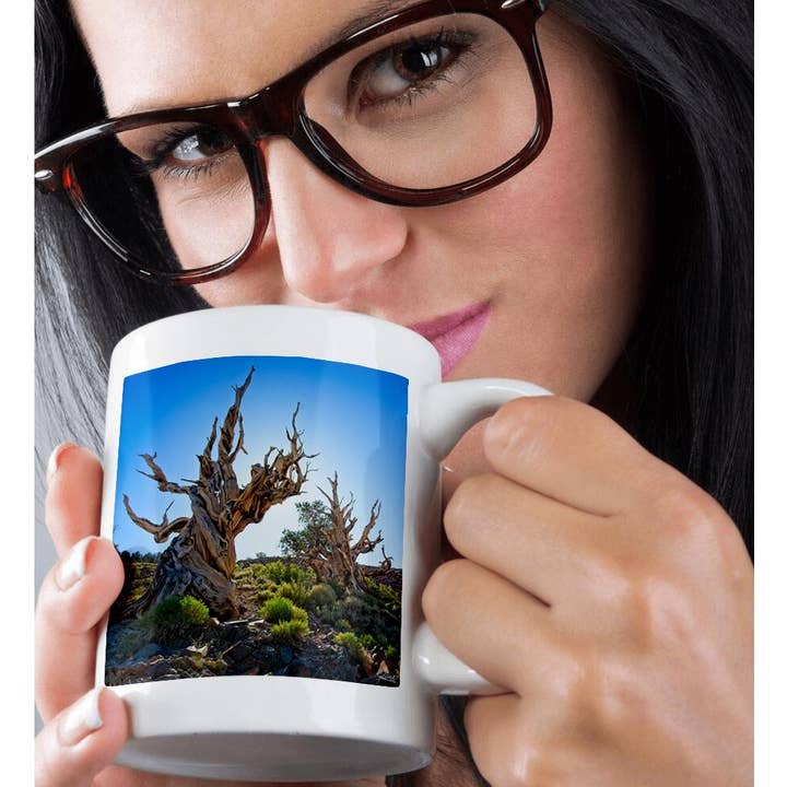 3dRose - Wholesale Coffee Mug - 3dRose, Two Backlit Ancient Pines in Inyo National Forest, Mug9