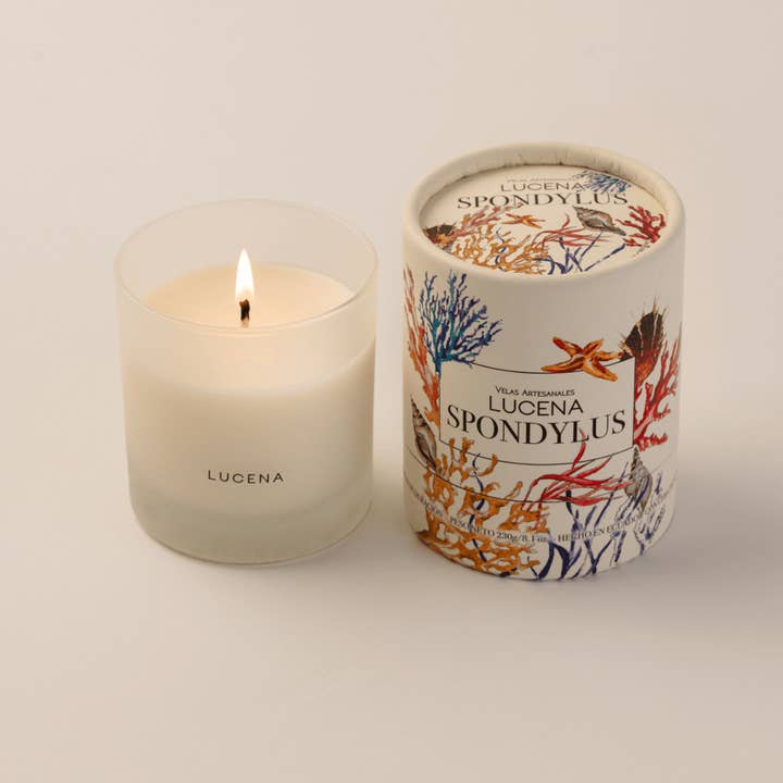 LUCENA - Wholesale Jar/Filled Candle - Spondylus1