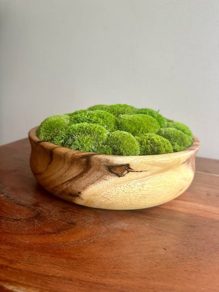 Preserved Pole Moss Bowl | Wood Centerpiece, Natural Decor for wholesale by Bright Belle