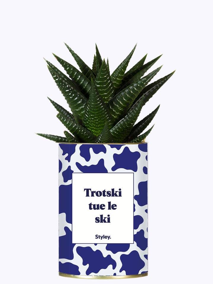 Trotski Uccide Lo Sci - Cactus per la vendita all'ingrosso da parte di Styley