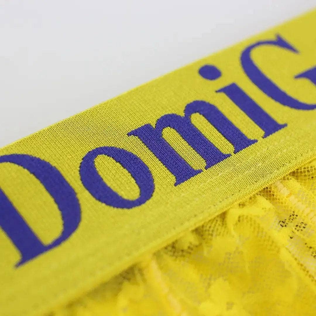 DomiGe – Großhandel Unterwäsche – Herren – Herrenhose aus transparentem Netzstoff mit stilvollem Logo-Bund — ultimativer Komfort und verführerische Herrenunterwäsche18