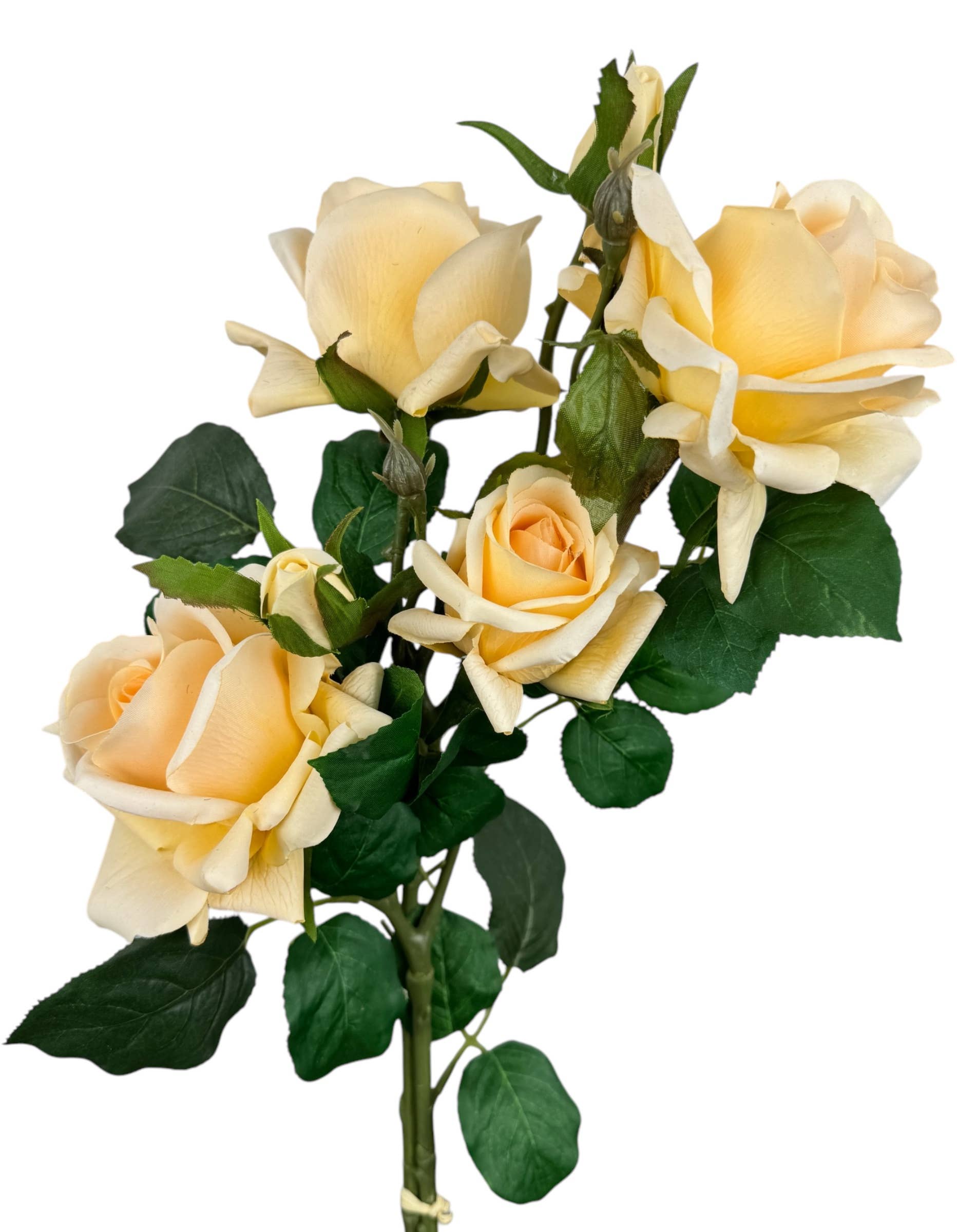 Angel Isabella - Wholesale Artificial Flowers - 28.75"-Ultra Realistic-Real Touch Rose Stem with 6 Flowers5