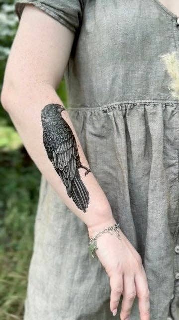NatureTats - Vente Tatouages temporaires - Tatouage Temporaire Corbeau5