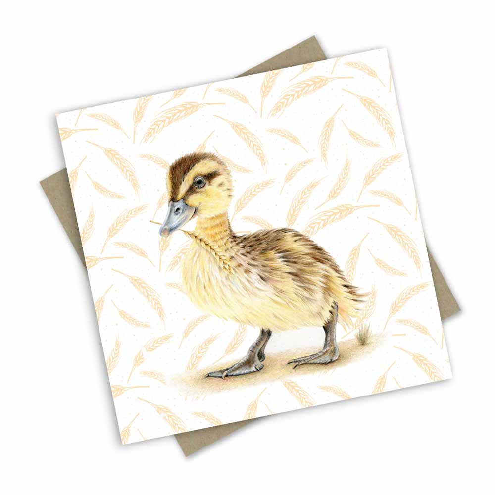 Popcorn Blue - Wholesale Birthday card - Farm friends:0