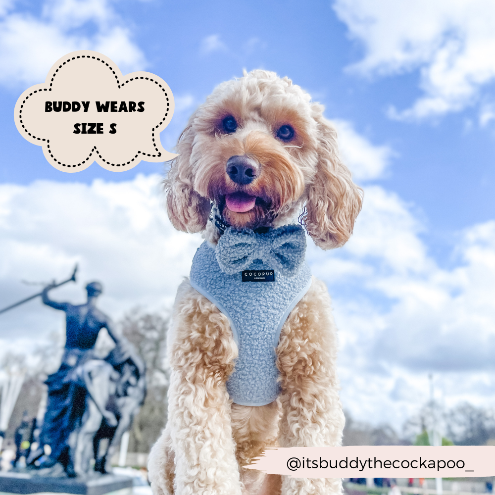 Cocopup London – wholesale Pet harness – Dog – Teddy Daydream Adjustable Neck Harness4