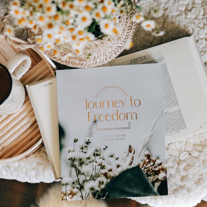 The Daily Grace Co - Wholesale Religion - Journey to Freedom | The Life of Moses5
