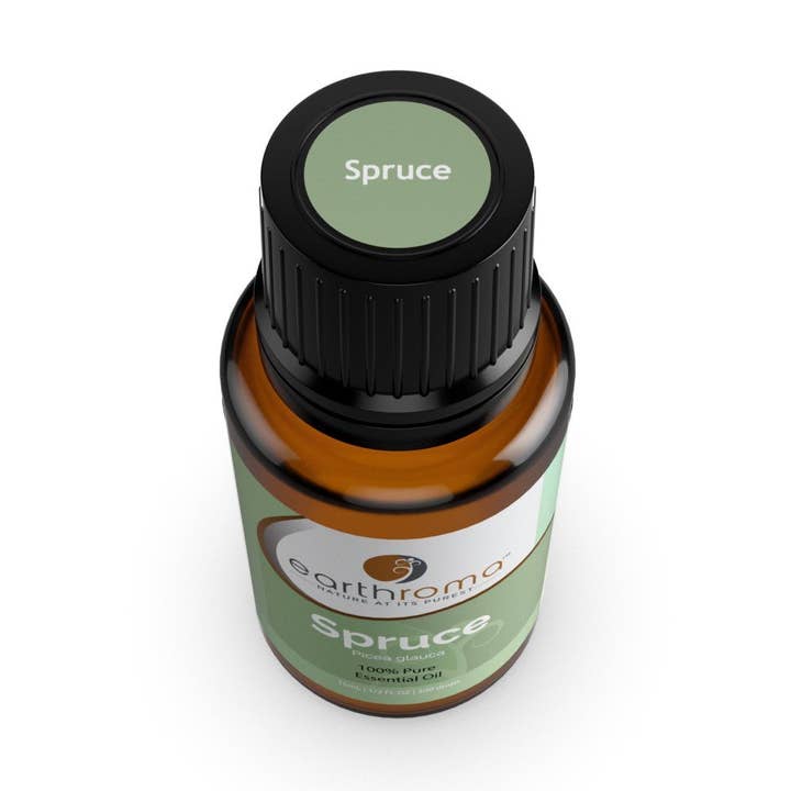Spruce Essential Oil for wholesale by Earthroma