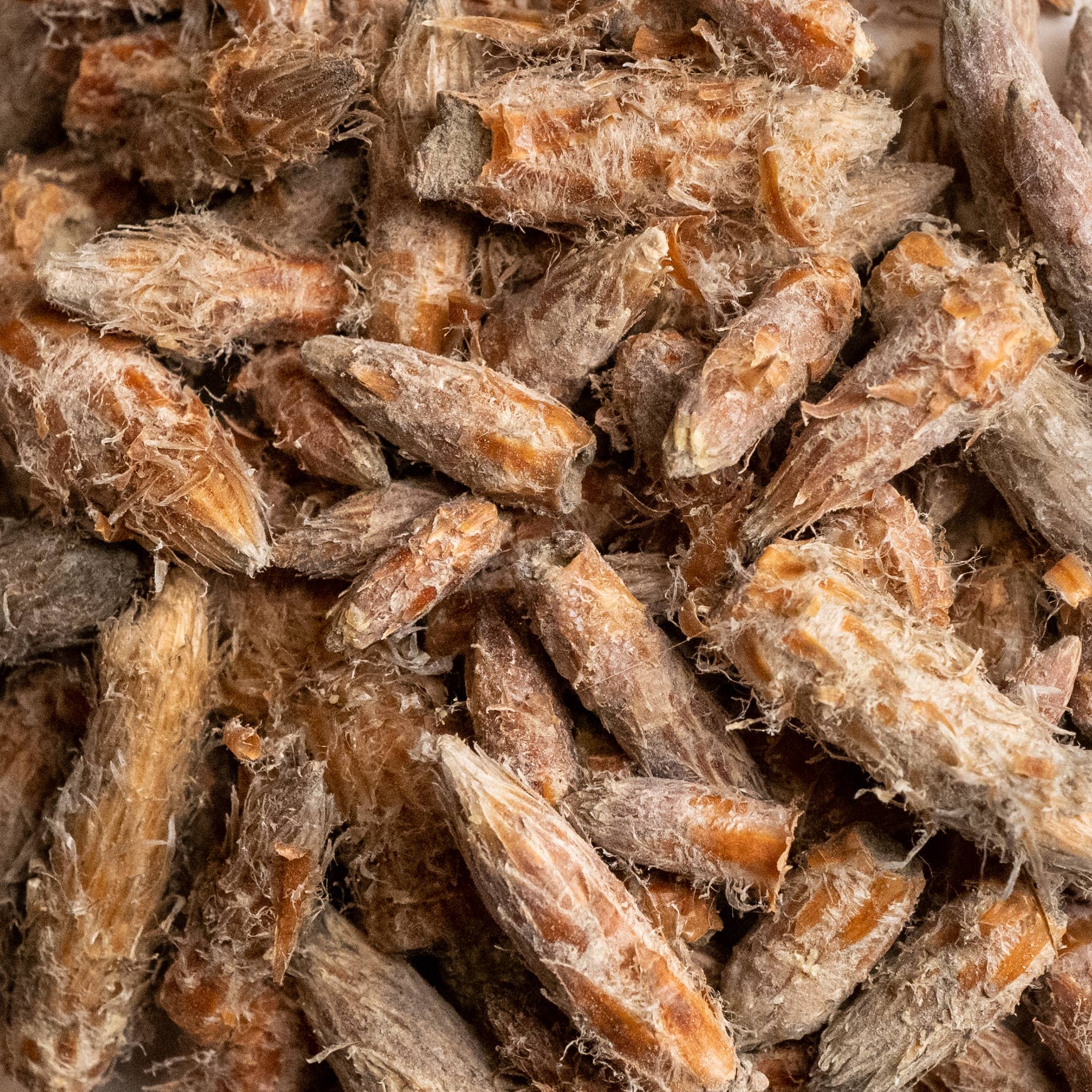 LE COMPTOIR D'HERBORISTERIE - Wholesale Health/Detox Tea - SCOTS PINE INFUSION ORGANIC BUD 25G1