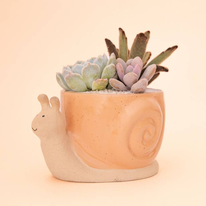 Jungle Club - Wholesale Plant pot - Snail Planter | Sunset2