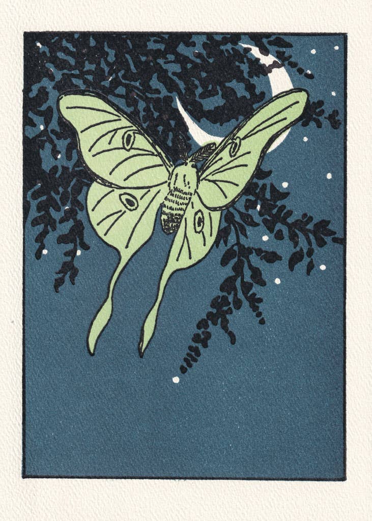 Saturn Press – Engroshandel Hverdagshilsen kort – Luna1