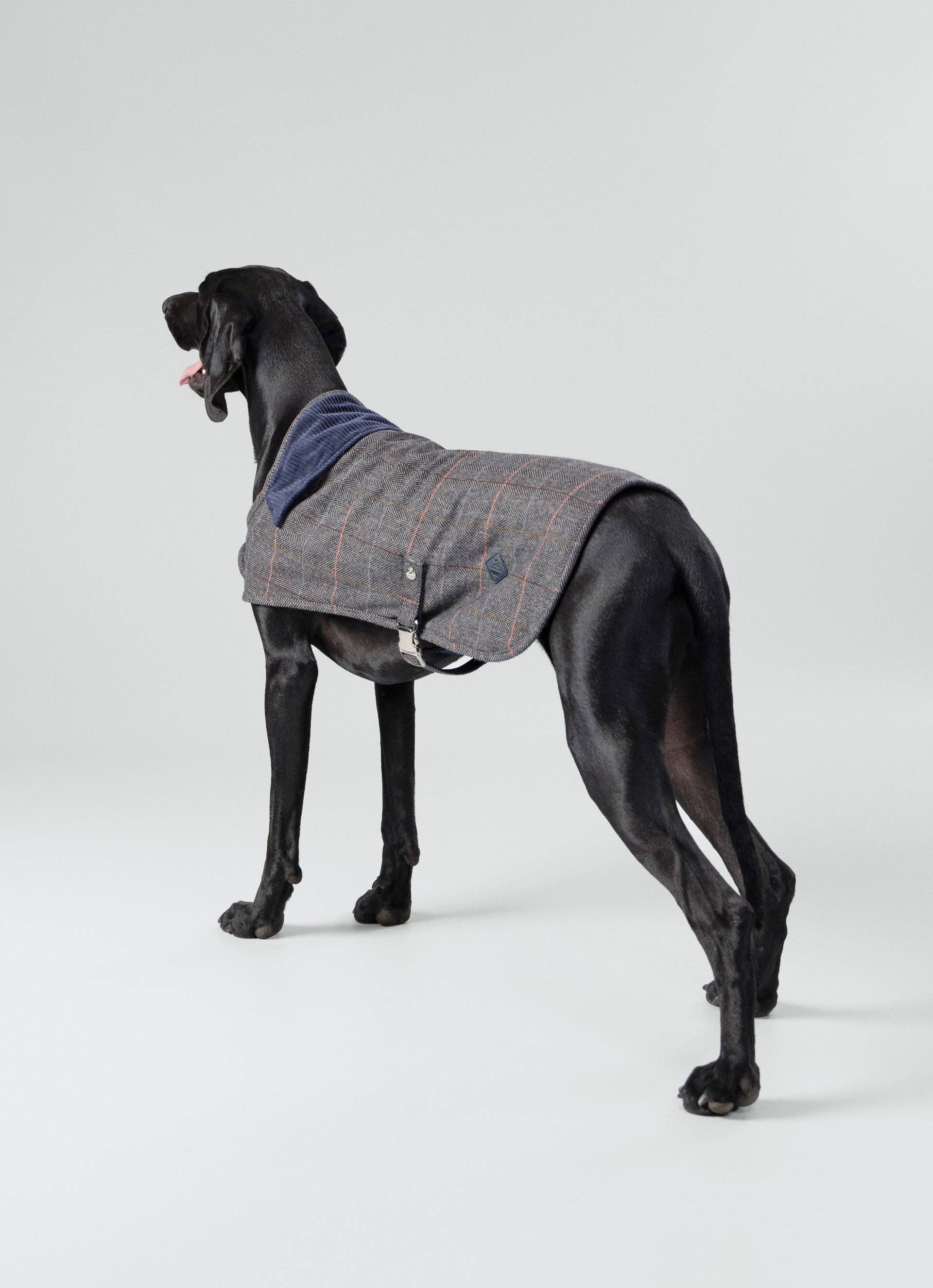 Hugo & Hudson - Wholesale Pet Jacket - Dog - Hackett x Hugo Hudson Grey Checked Tweed Dog Jacket6