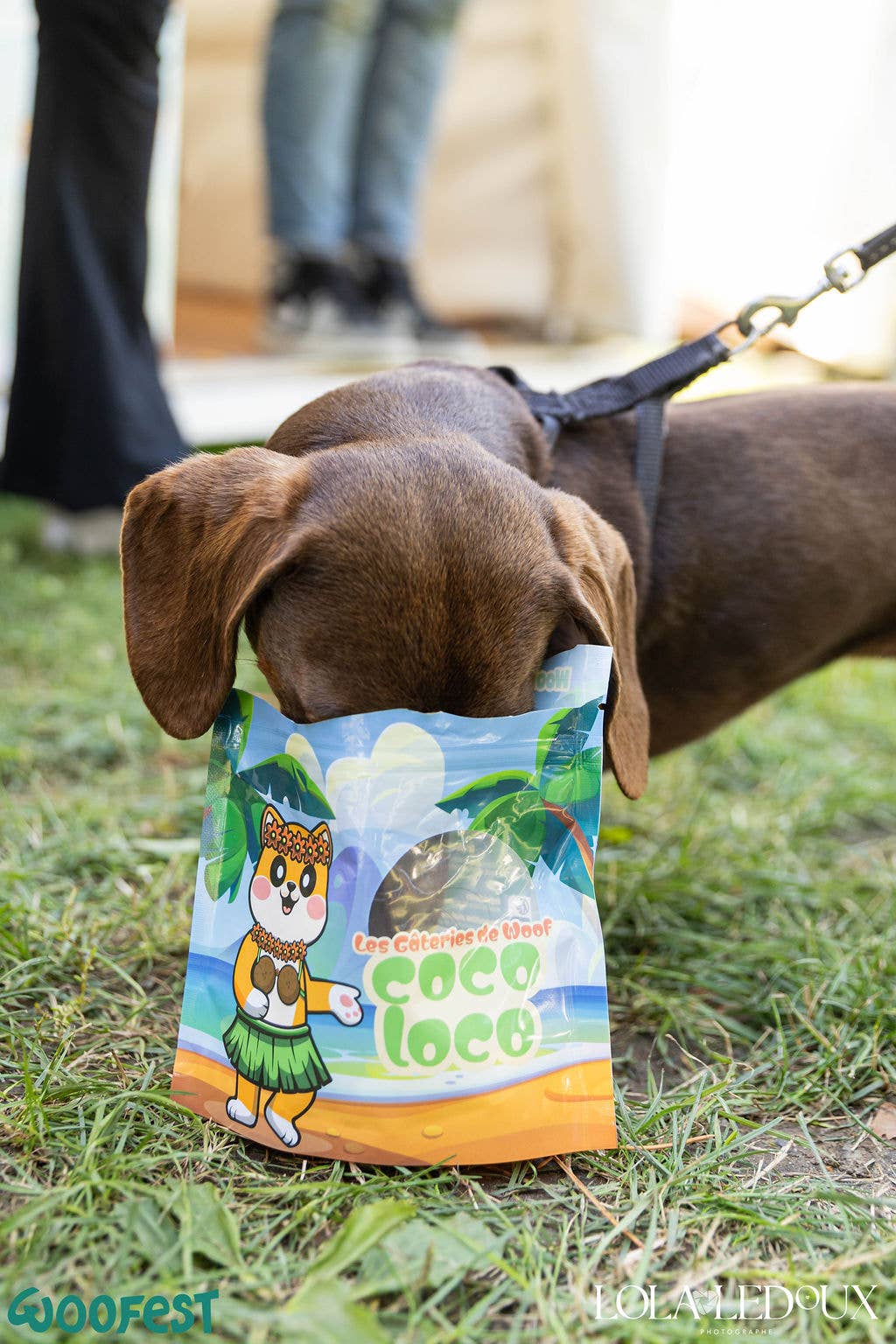 Woof’tastic - Wholesale Pet Treats - Dog - Coco Loco - Crunchy coconut dog biscuits1