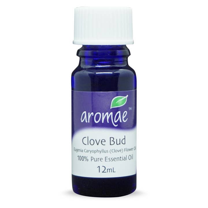 Clove Bud for wholesale by Aromae Essentials