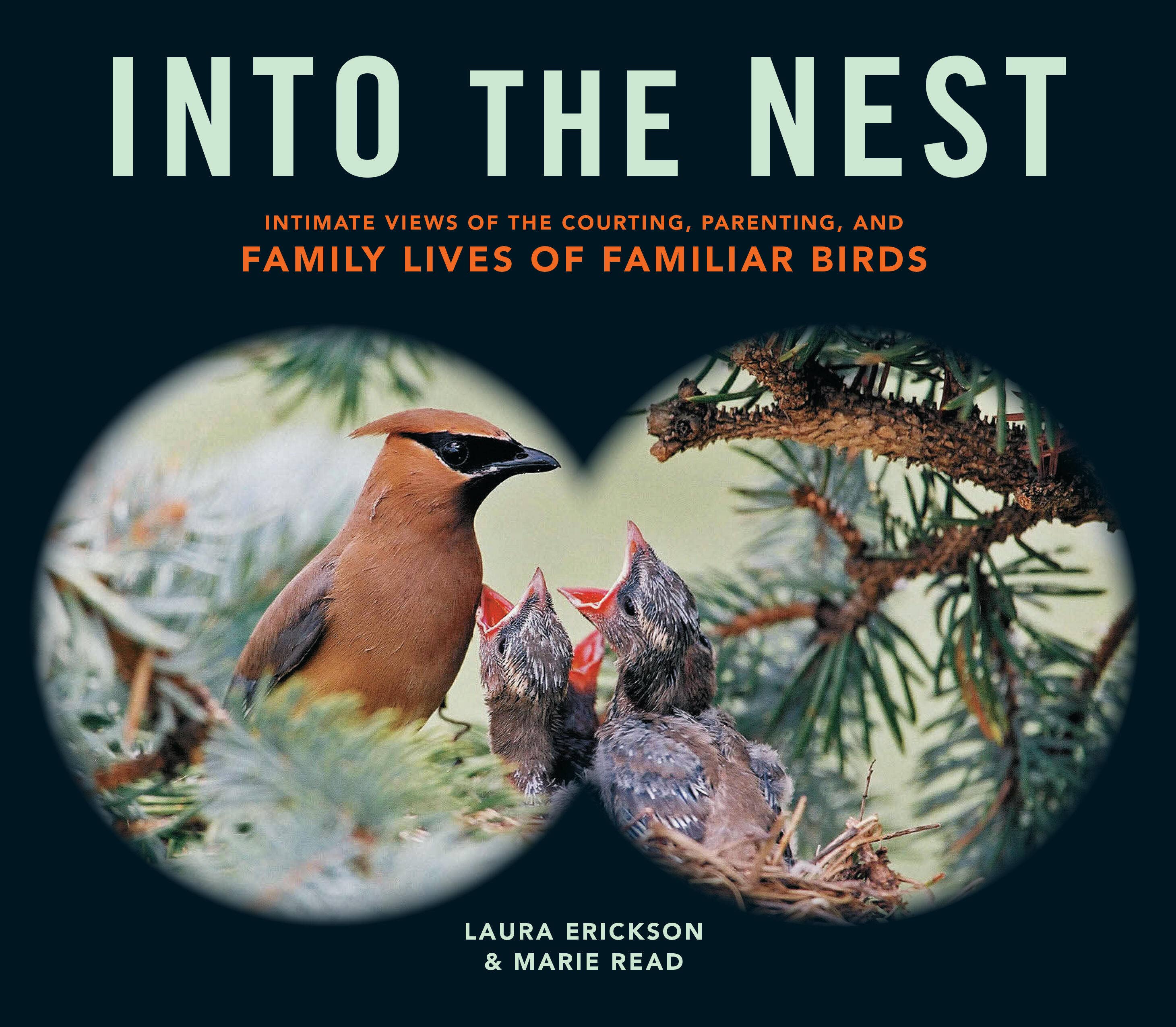 Hachette Book Group - Wholesale Nature & Outdoors - Into the Nest0