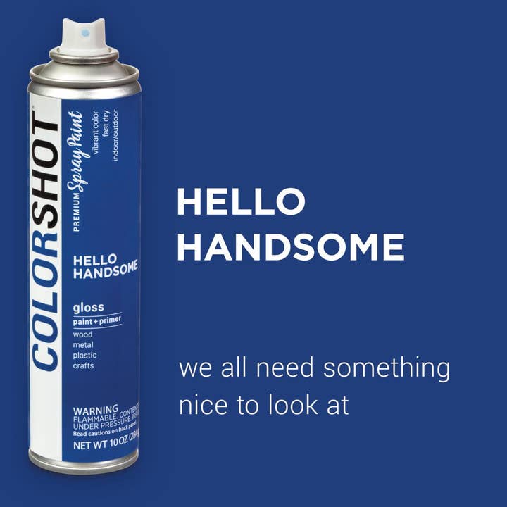 Ilovetocreate - Wholesale Paint Set - COLORSHOT Gloss Spray Paint Hello Handsome (Royal Blue) 10 oz.1