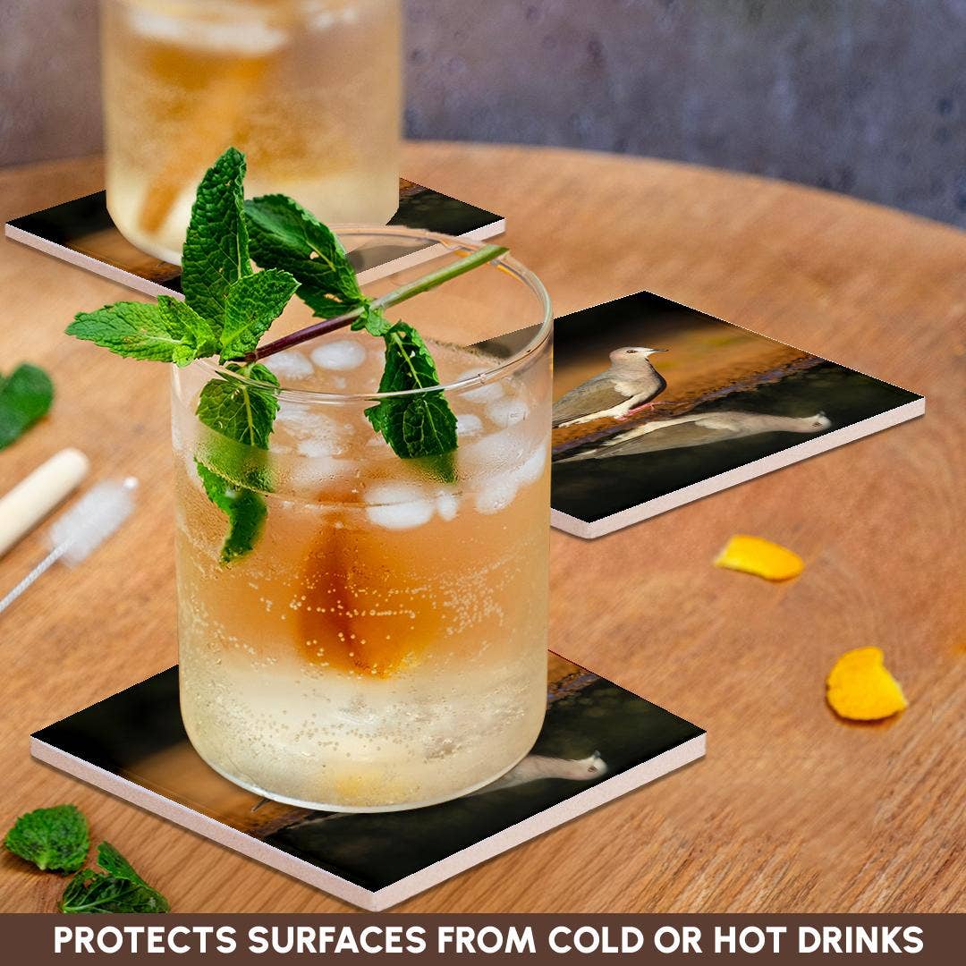 3dRose - Wholesale Coasters - 3dRose, White-tipped dove, Leptotila verreauxi by pond., Coaster2