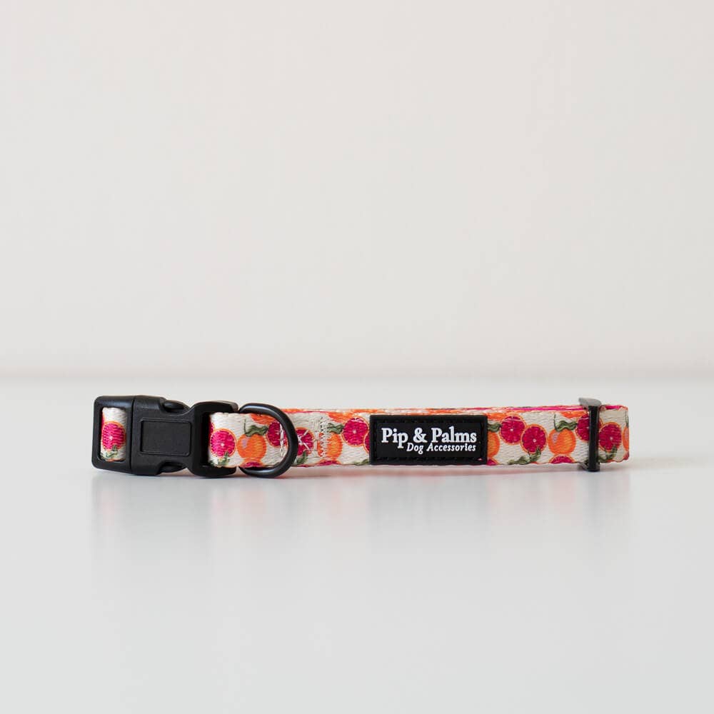 Pip and Palms - Wholesale Pet Collar - Dog - Dogs Dogs Collar Tutti Frutti0