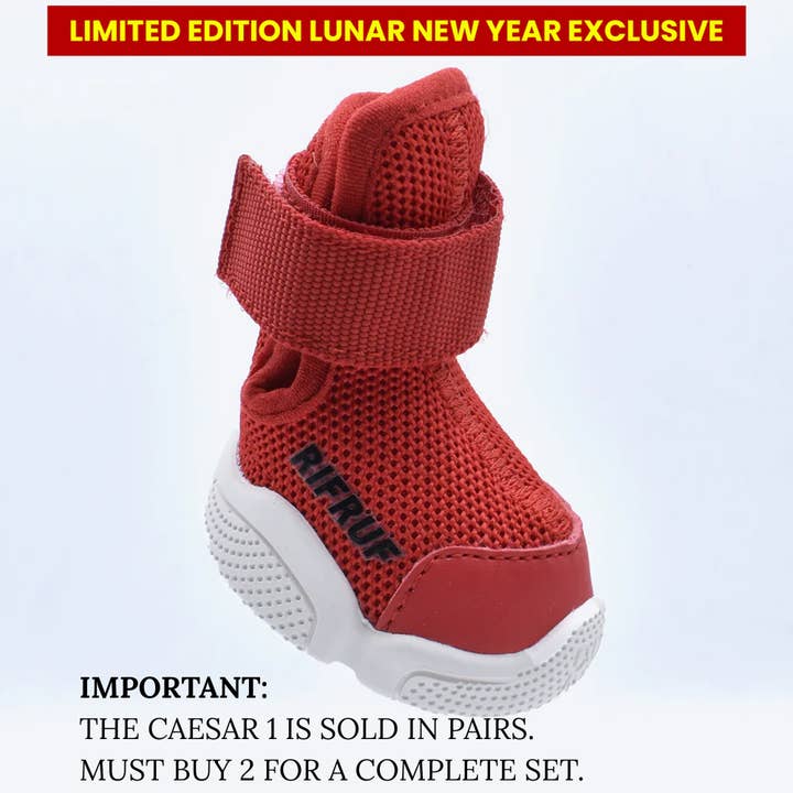 RIFRUF - Vente Bottines – chien - César 135