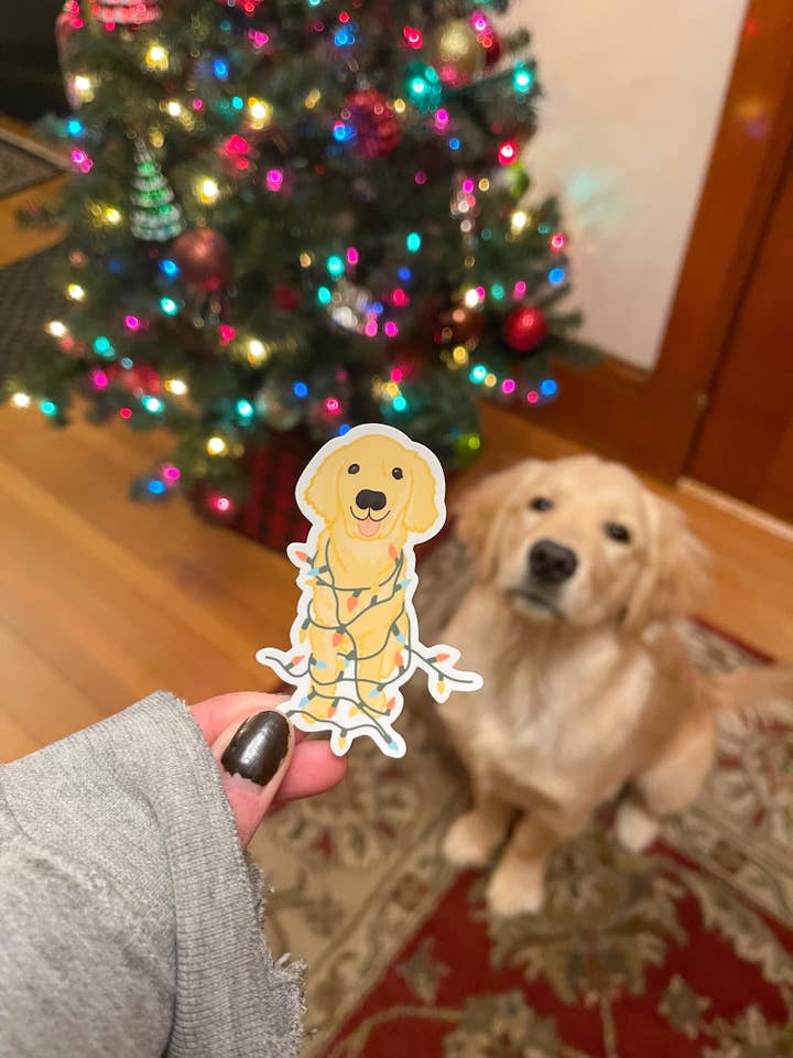 Golden Kona (Holiday Lights Edition) for wholesale by Sammie Studio