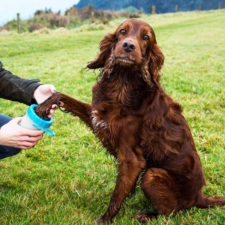 Henry Wag – wholesale Pet grooming aid – Dog – Henry Wag Pet Paw Cleaner1