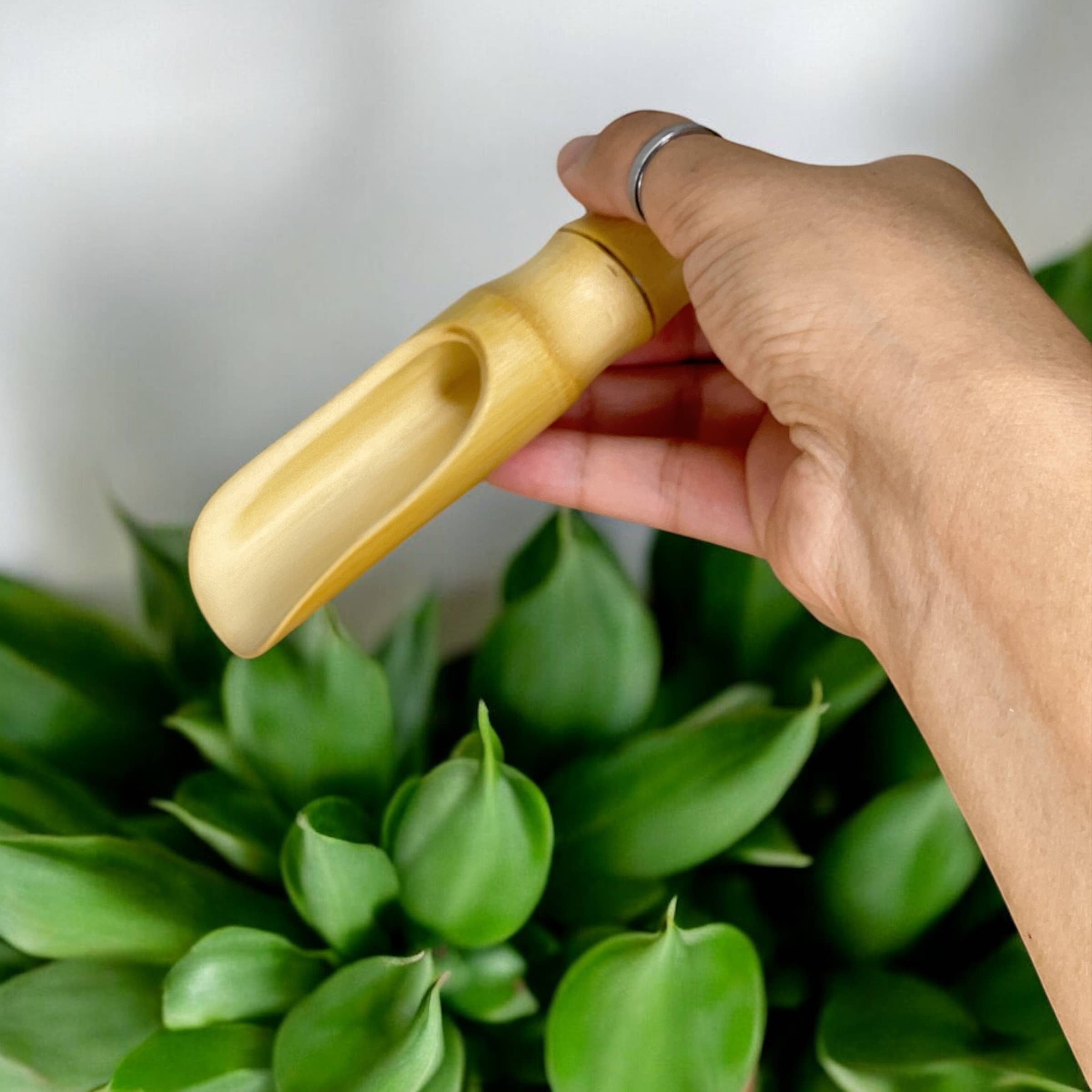 Bamboo Switch - Wholesale Kitchen Spoon - Bamboo Scoops6