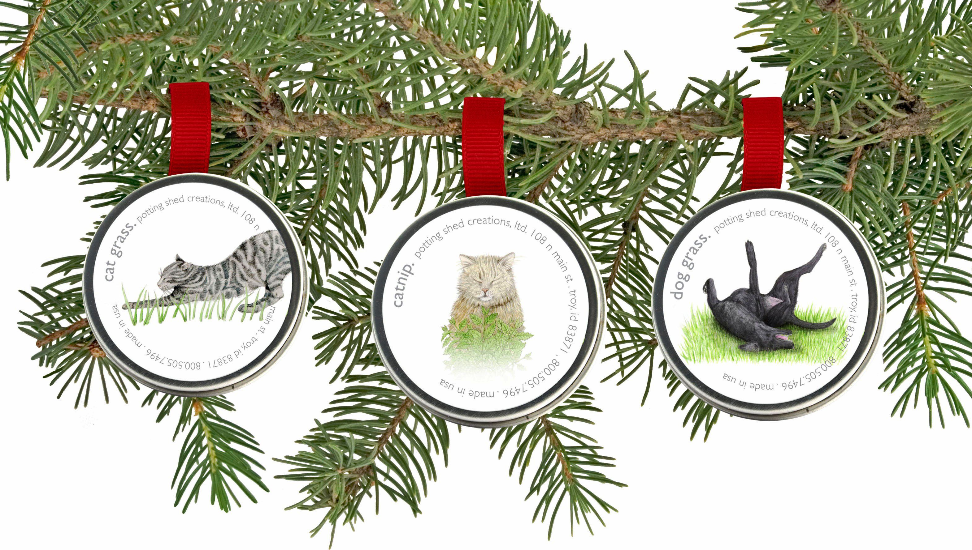 Potting Shed Creations, Ltd. - Wholesale Pet Toy - Cat/Dog - Pet Ornament Sprinkle Pail | Dog & Cat Christmas1