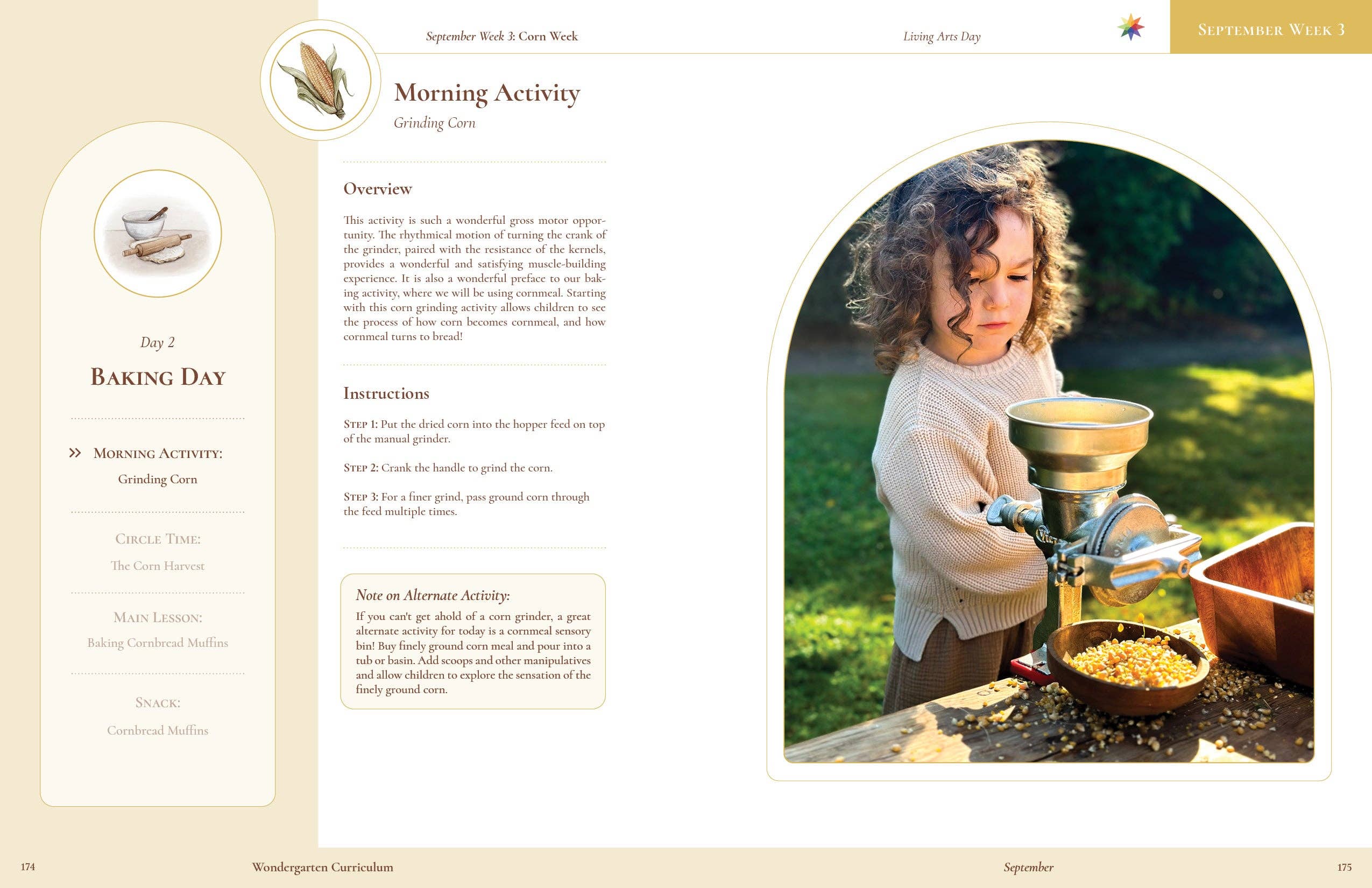 Wondergarten® - Wholesale Education - Curriculum Collection (Wholesale)6