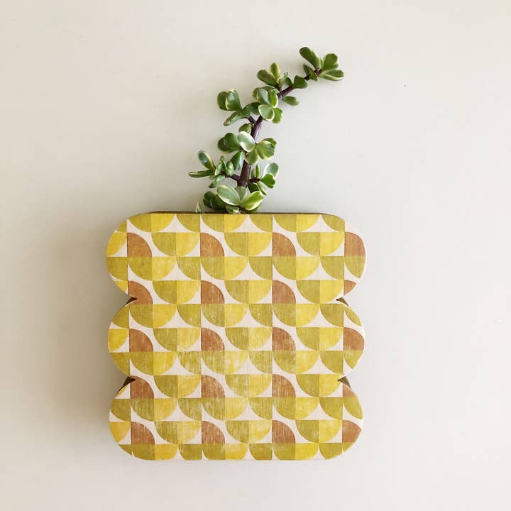 Stacy Wong – Engroshandel Vase – Kammusling Geometrisk Væg+ Bordplade Vase Planter