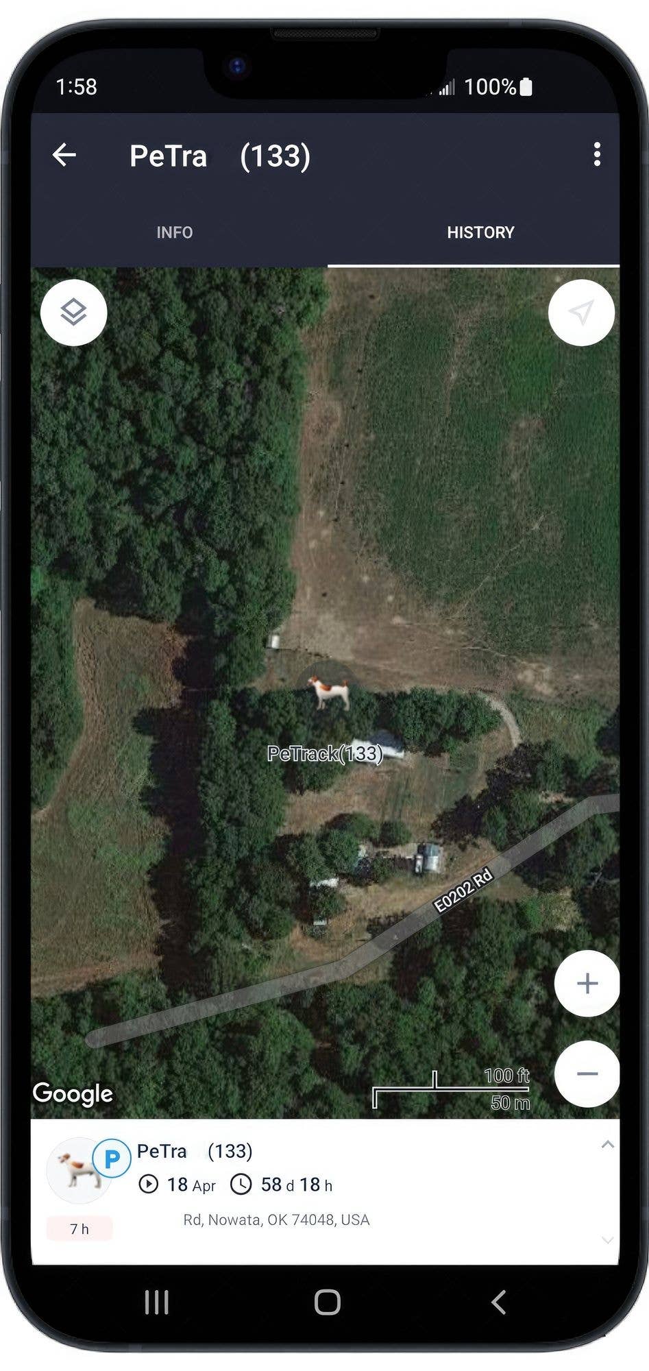 Naomi's Happy Place Shop - Venta al por mayor Collar - Gatos y perros - Mantén a tu mascota segura con el dispositivo de rastreo GPS para collar de perro + aplicación para teléfono Tamaño:M5