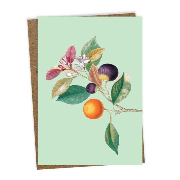 Pensionshilsen Kort for engroshandel hos 30x40