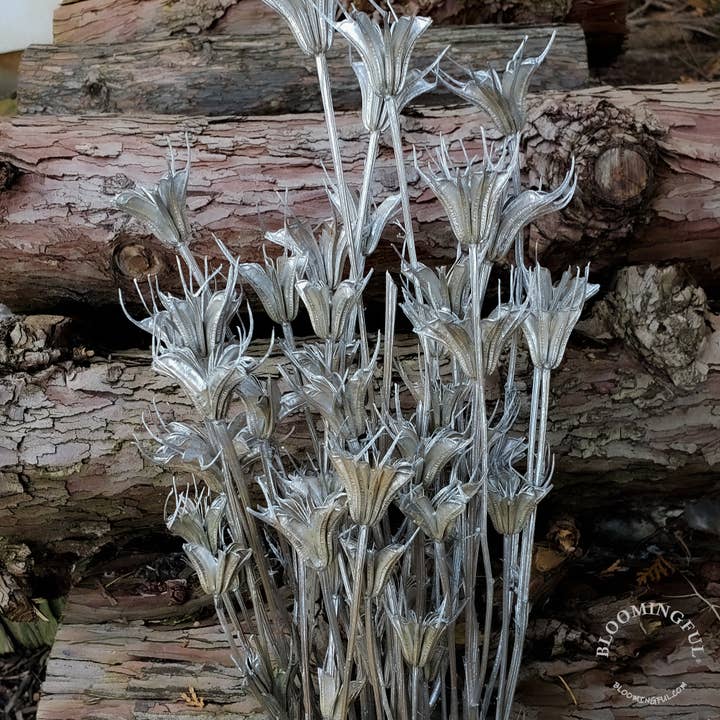 Dried Nigella Orientalis Flower - Silver (037) for wholesale by BLOOMINGFUL.COM