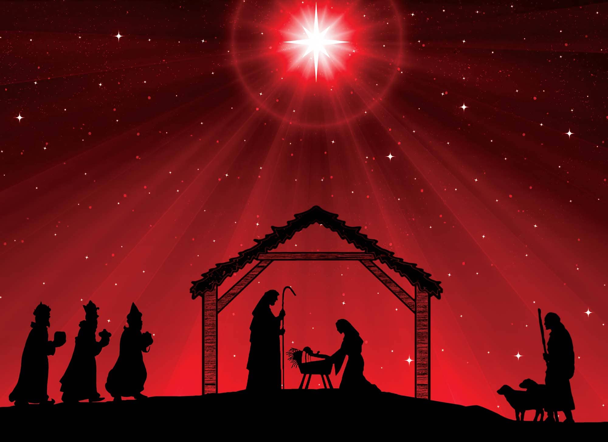 Crown Point Graphics - Wholesale Christmas Card - Religious Boxed Christmas Cards, Nativity, 12 Cards6