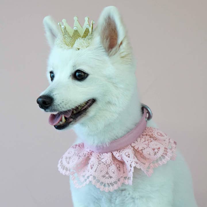 Süßes Hundehalsband mit floraler Spitze in 4 Farben für den Großhandel von Blueberry Pet