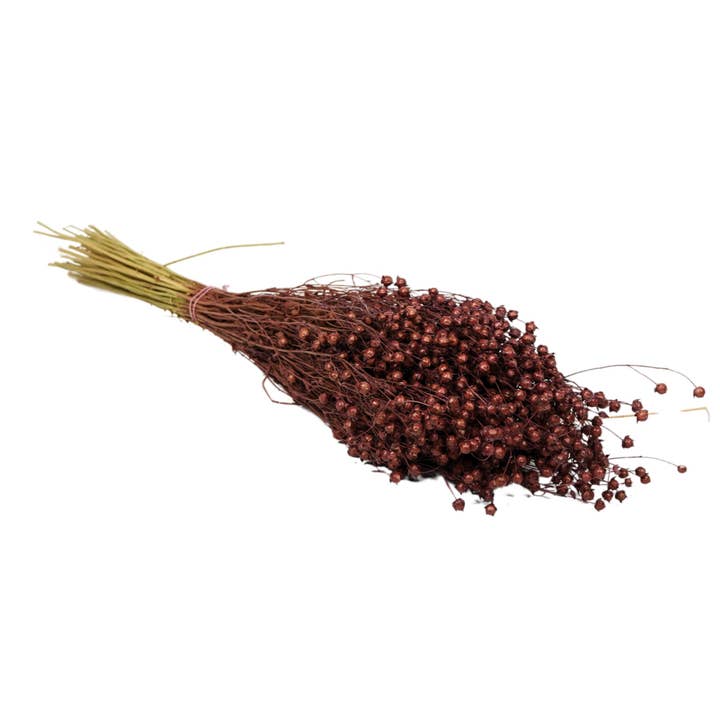 Dried Flowers - Linium Burgundy for wholesale by Wildflowers by Floriette