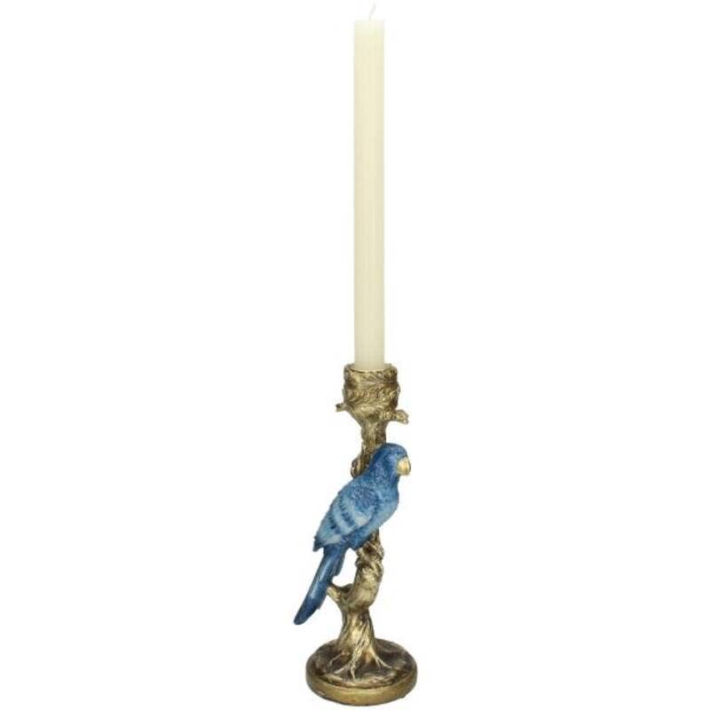 Trendhero.nl/b2b - Wholesale Candle Holder - Candle Holder - Blue Parrot ↑ 26 cm3