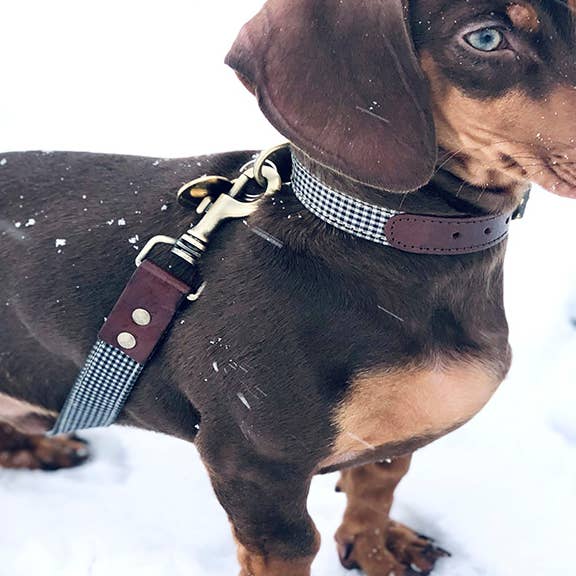 Correa Milo for wholesale by Ladran Gaucho