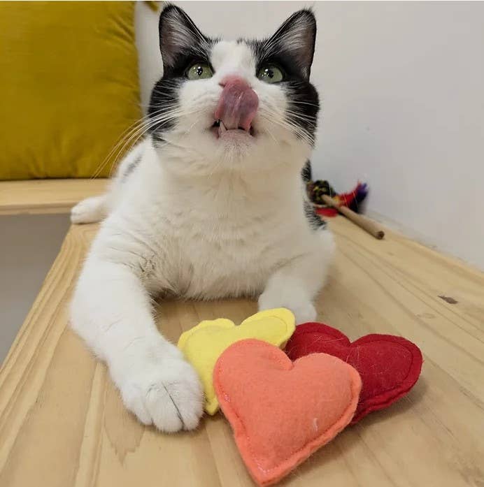 LES MATOULONNAIS - Venta al por mayor Juguete - Gatos - Nube arcoíris de fieltro «LES MATOULONNAIS»3