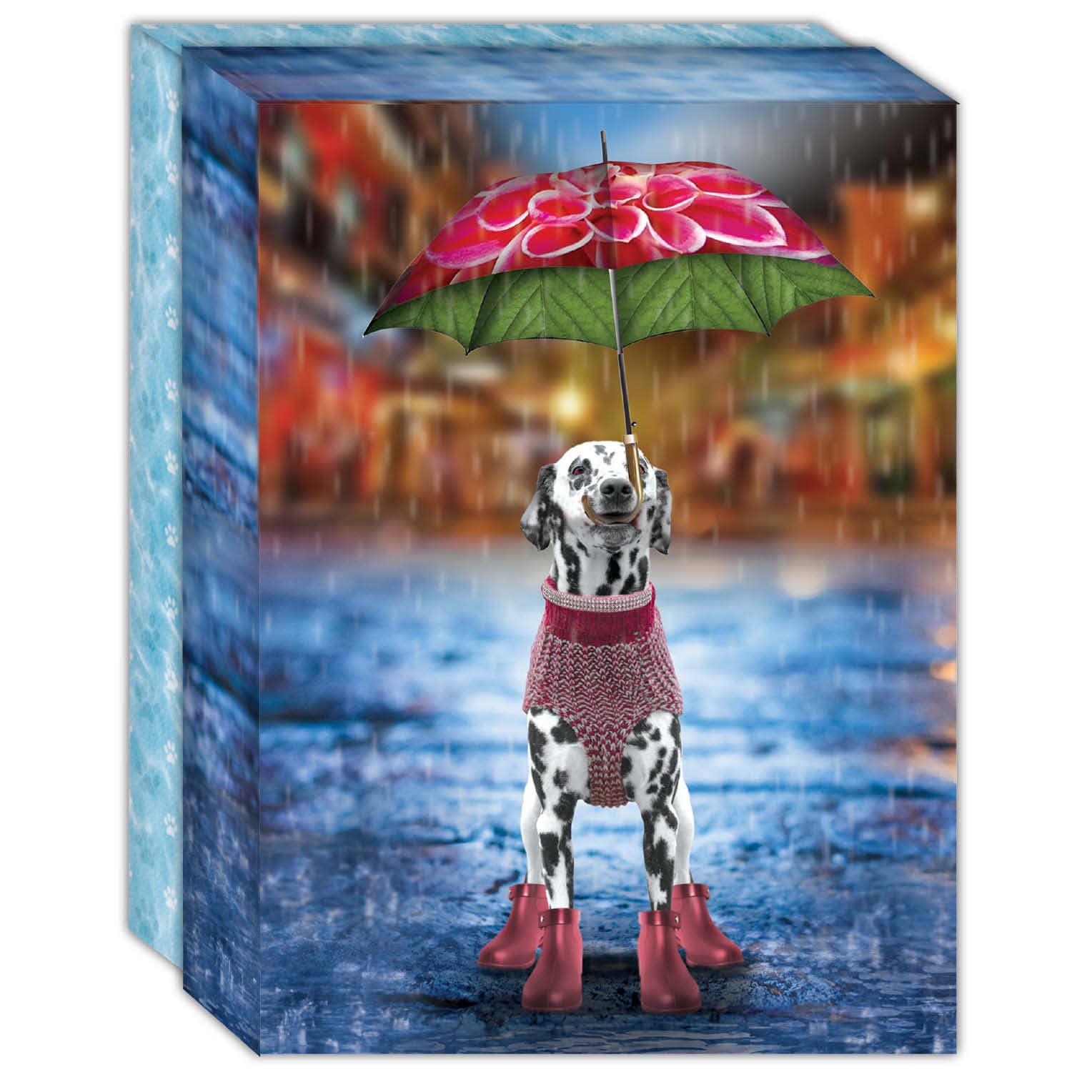 Crown Point Graphics - Wholesale Stationery/Notecard Set - Umbrella Dog -15 Boxed Note Cards1