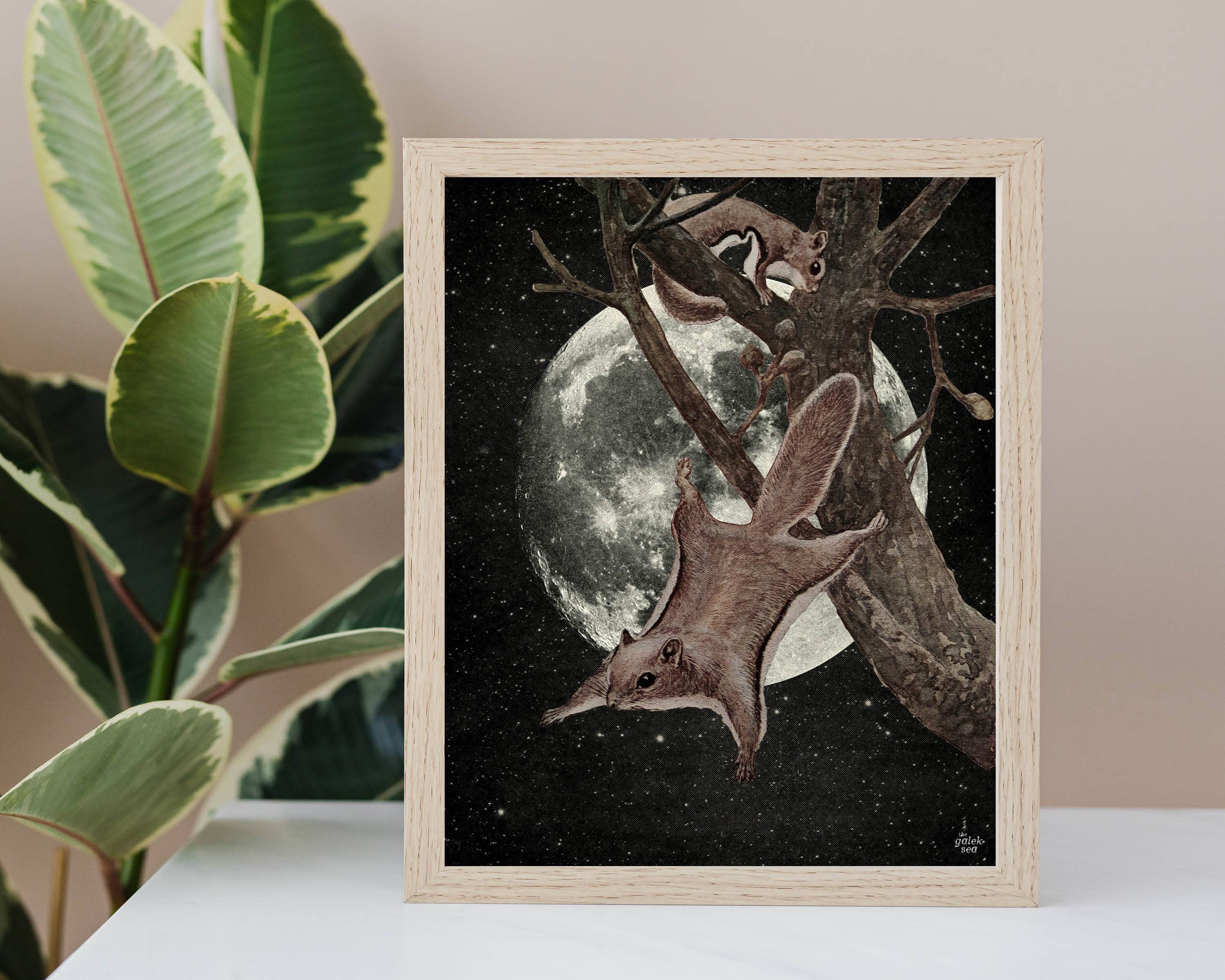 The Galek Sea - Wholesale Art Print - Squirrel Away Print6